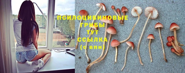 jwh Лиски