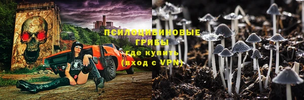 амф Липки