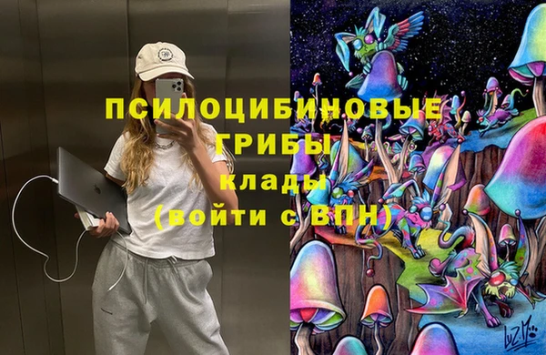 jwh Лиски