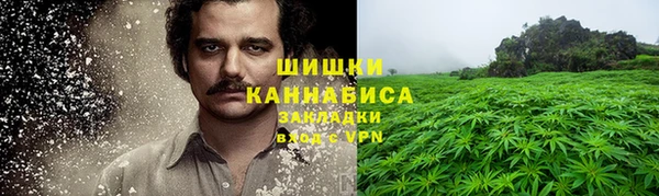 амф Липки