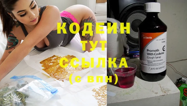 амф Липки