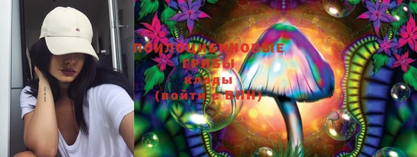амф Липки