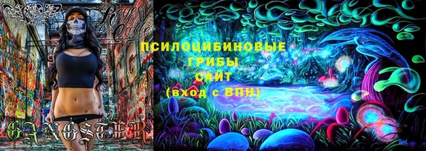 амф Липки