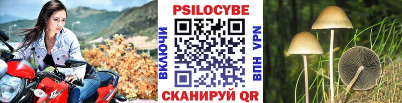 Купить где  Солигалич  Галлюциногенные грибы Magic Shrooms 